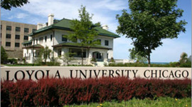 Timeline: Sarah Pekoc's Work and Research Experience