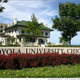 Loyola university