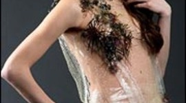 Timeline: Dissovable Clothing