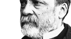 Timeline: Cell Theory