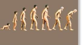 Timeline: Seven Ages Of Man