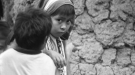 Timeline: Trabajo social