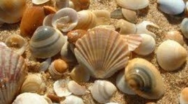 Timeline: La Línea De Tiempo De Mi Vida