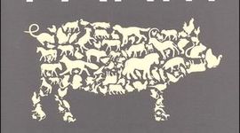 Timeline: Brady Petrie