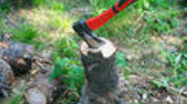 Timeline: Hatchet     Melanie Williams