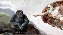 Timeline: EVOLUCIÓN