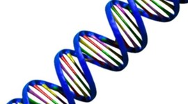 Timeline: History of DNA