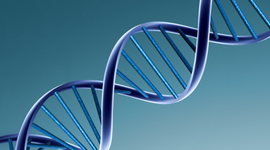 Timeline: History of DNA