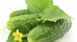 Timeline: Starting up a pickiling business