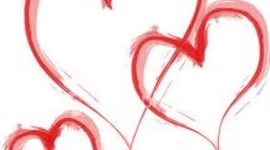 Timeline: The Remainder of the Semester