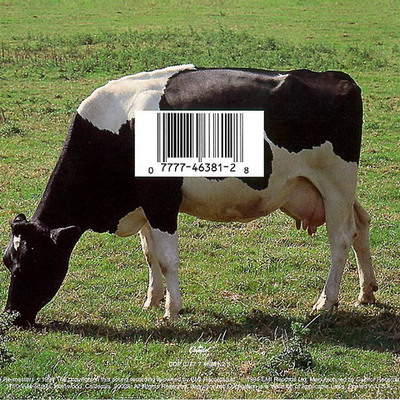 Timeline: French Revolution