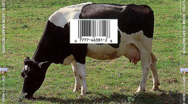 Timeline: French Revolution