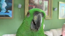 Timeline: Ett litet test