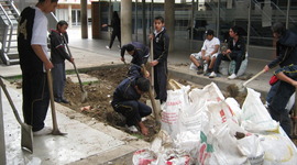 Timeline: sensibilizacion zonas verdes VGP