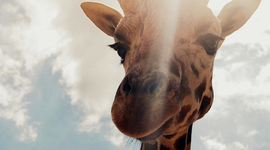 Timeline: Marian's Gorgeous First Quarter Timeline