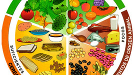 Timeline: DESARROLLO FÍSICO Y SALUD