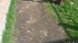 Timeline: Crecimiento de una planta