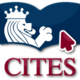 Cites icono