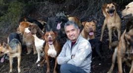 Timeline: Cesar Millan