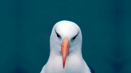 Timeline: Solar Power