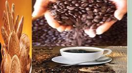 Timeline: deli coffee tasolart