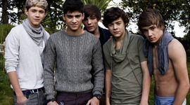 Timeline: One Direction