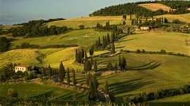 Timeline: Renaissance Art