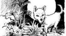 Timeline: La Leyenda de los cadejos