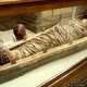 Egyptian mummy