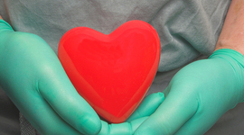 Timeline: Our Nicky´s Heart