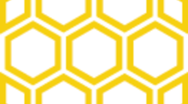 Timeline: Learning and Action Network National Coordinating Center