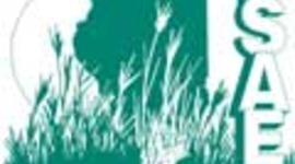 Timeline: PSAE Reading 2012-2013 Efforts