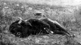 Timeline: Native Americans  Johancarla, Joel, & Shaileen