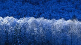 Timeline: Esla línea del tiempo es una prueba