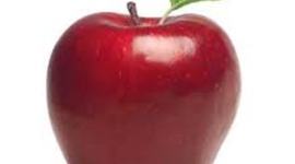 Timeline: Development of Gravity Theories