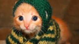 Timeline: The Sui and Europe