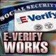 E verify capture 3