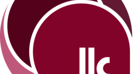 Timeline: Presidentes Comité Local AESEC Andes