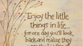 Timeline: MEMEME - The Story of My Life:Andrea