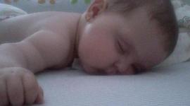 Timeline: Lavinia (4 años)