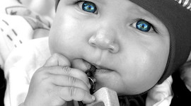 Timeline: Toddler Timeline