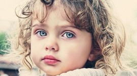 Timeline: Toddler Timeline