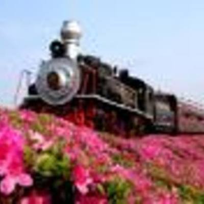 Timeline: ITINERÁRIO TURÍSTICO