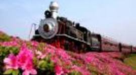 Timeline: ITINERÁRIO TURÍSTICO