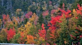 Timeline: Past continuous - daily activities