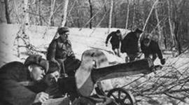 Timeline: Хронология развития партизанского движения в период ВОВ