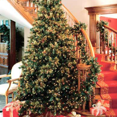 Timeline: History of Christmas Trees