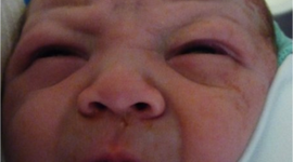 Timeline: Sarrionandiaren denbora-lerro ederra (Idoina)