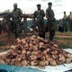 Genocide in rwanda skulls