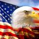 American flag eagle